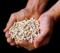 Brennstoff Pellets